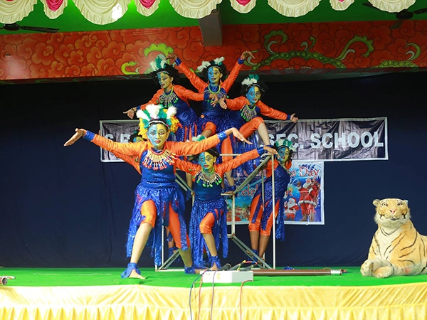 Cultural Function Programs